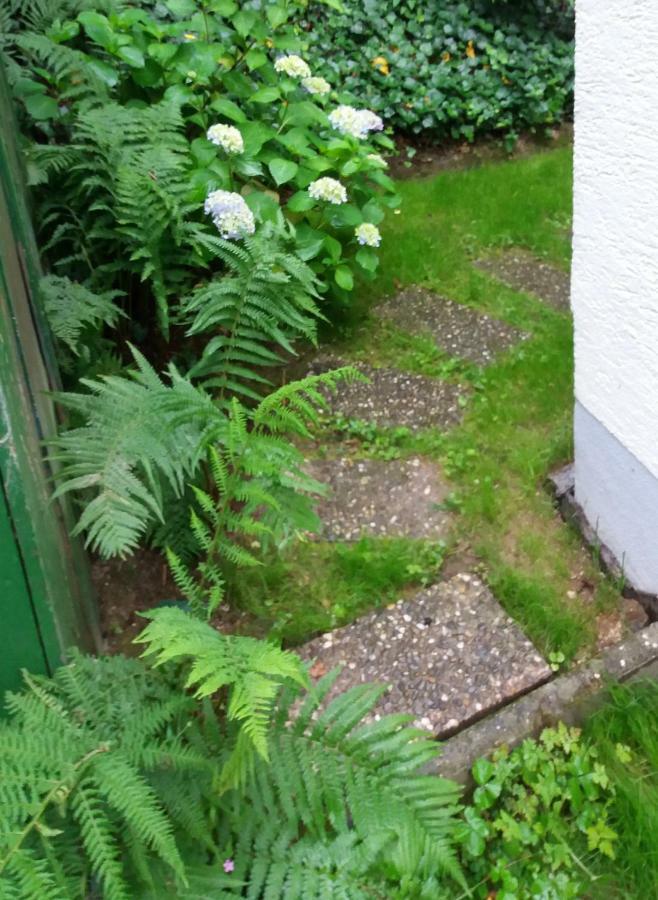 Ferienhaus Baederleiblick Bad Ems Luaran gambar